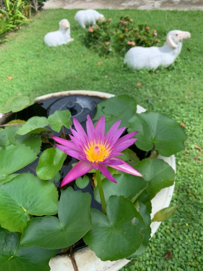 The Orchid House Hotel Nong Kung Yai Kültér fotó