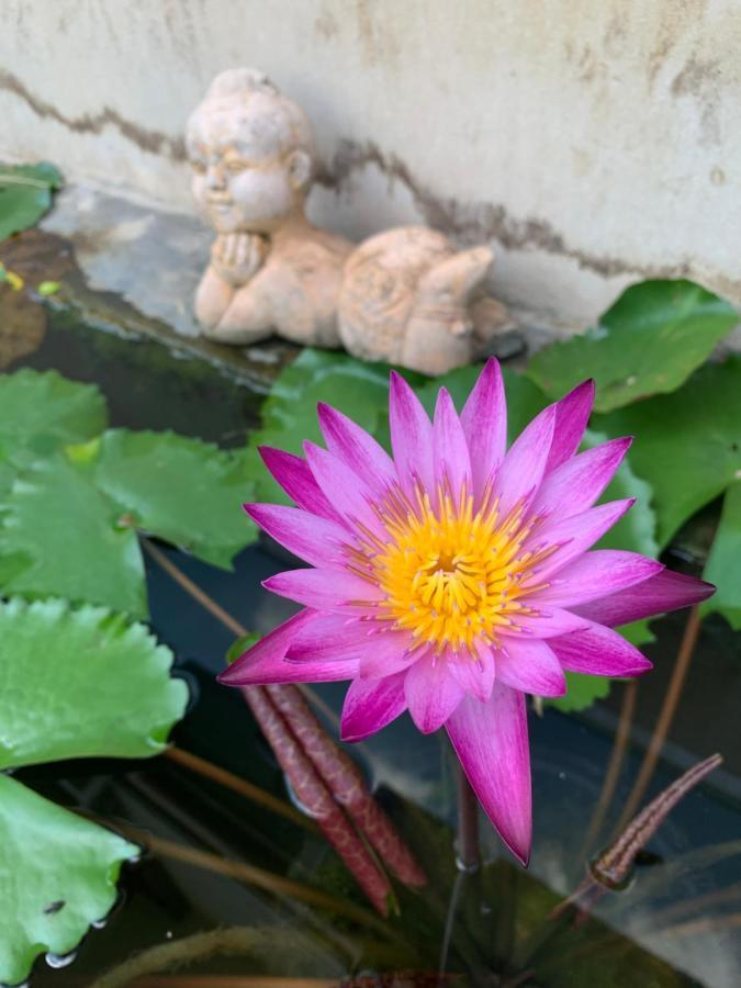 The Orchid House Hotel Nong Kung Yai Kültér fotó